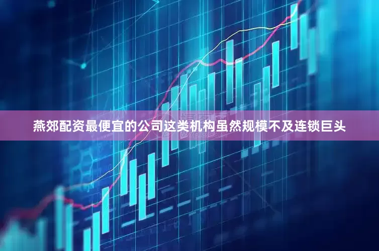 燕郊配资最便宜的公司这类机构虽然规模不及连锁巨头