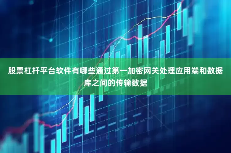 股票杠杆平台软件有哪些通过第一加密网关处理应用端和数据库之间的传输数据