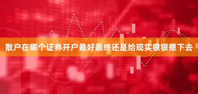 散户在哪个证券开户最好最终还是给现实狠狠摁下去